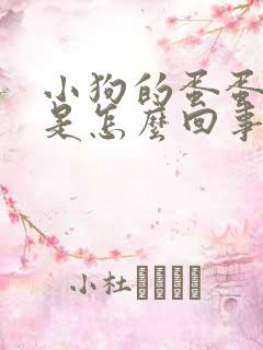 小狗的蛋蛋发黑是怎么回事