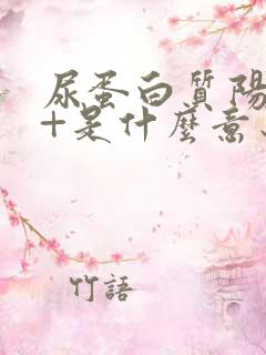 尿蛋白质阳性3+是什么意思