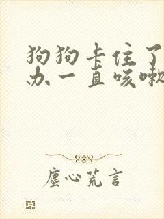 狗狗卡住了怎么办一直咳嗽