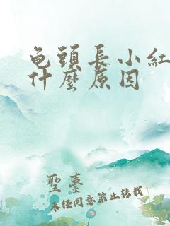 龟头长小红点痒什么原因