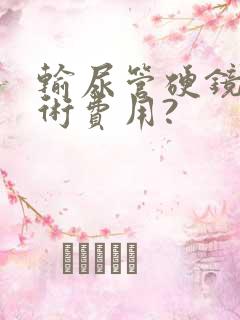 输尿管硬镜取石术费用?