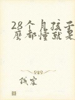 28个月孩子什么都懂就是不说话