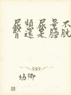 尿频尿量不多是肾还是膀胱不好