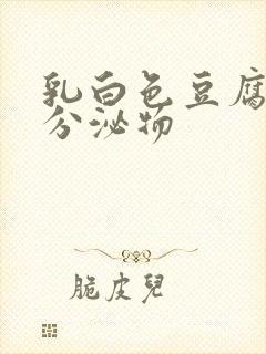 乳白色豆腐渣样分泌物