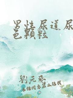 男性尿道尿出白色颗粒