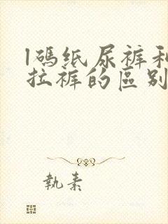 l码纸尿裤和拉拉裤的区别