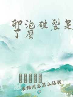 卵泡破裂是排卵了么