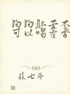 狗狗肚子不舒服可以喝藿香正气水吗