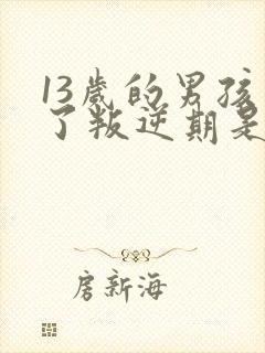 13岁的男孩到了叛逆期是怎么教