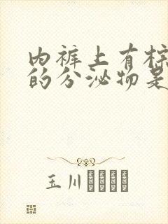 内裤上有棕褐色的分泌物是怎么回事