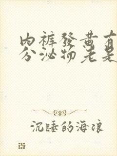 内裤发黄有黄色分泌物老是湿