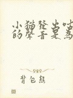 小猫发出咕噜噜的声音是为什么