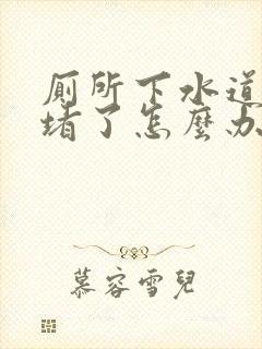 厕所下水道被鱼堵了怎么办