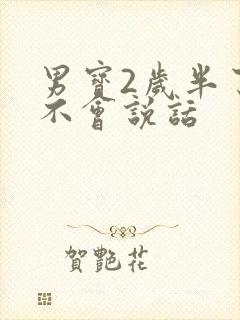 男宝2岁半了还不会说话