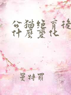 公猫绝育后会有什么变化