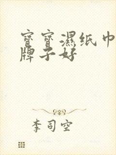 宝宝湿纸巾哪个牌子好