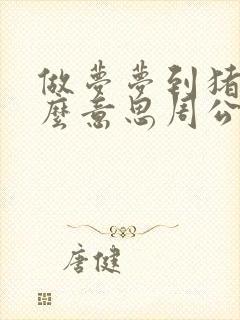 做梦梦到猪是什么意思周公解梦