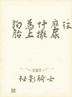 狗为什么往车轮胎上撒尿