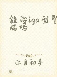 能治iga型肾病吗