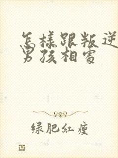 怎样跟叛逆期的男孩相处