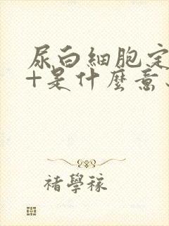 尿白细胞定性1+是什么意思