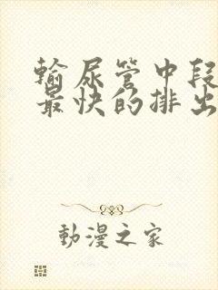 输尿管中段结石最快的排出方法