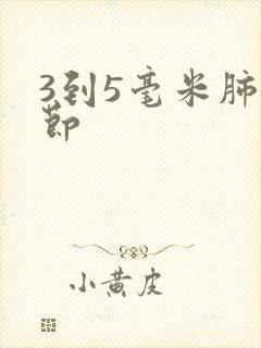 3到5毫米肺结节