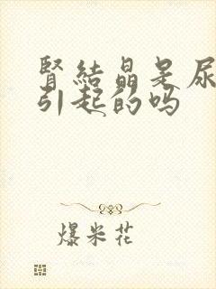 肾结晶是尿酸高引起的吗