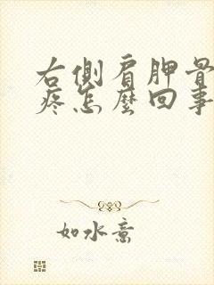 右侧肩胛骨旁边疼怎么回事