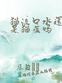 猫流口水还发臭是猫瘟吗