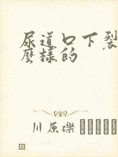 尿道口下裂是怎么样的