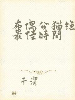 布偶公猫绝育的最佳时间