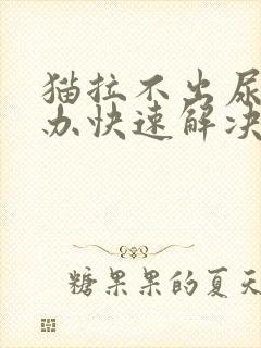 猫拉不出尿怎么办快速解决