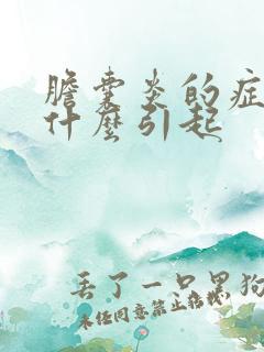 胆囊炎的症状是什么引起