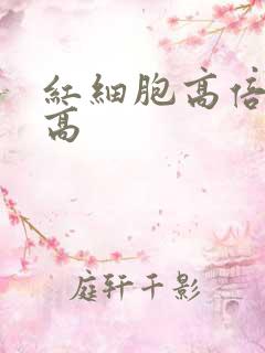 红细胞高倍视野高