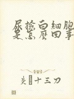 尿检白细胞阳性是怎么回事