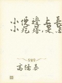 小便边上长了个小疙瘩,是怎么回事?