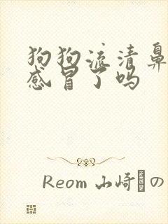 狗狗流清鼻涕是感冒了吗