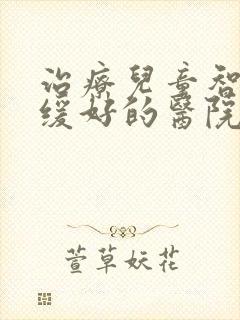 治疗儿童智力迟缓好的医院