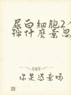 尿白细胞2个加号什么意思