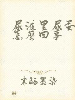 尿液里尿蛋白是怎么回事