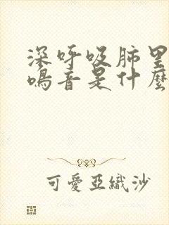 深呼吸肺里有痰鸣音是什么病