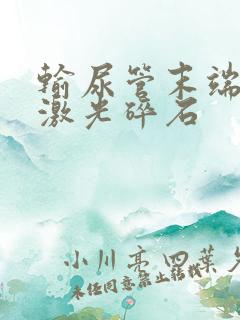 输尿管末端结石激光碎石