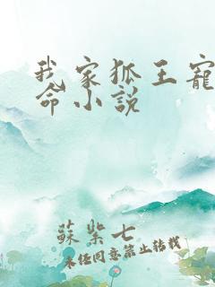 我家狐王宠妻如命小说