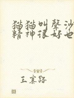 猫猫叫声沙哑但精神很好也能吃喝