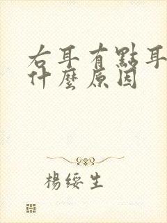 右耳有点耳鸣是什么原因