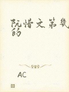 阮惜文第几集死的