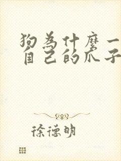 狗为什么一直舔自己的爪子