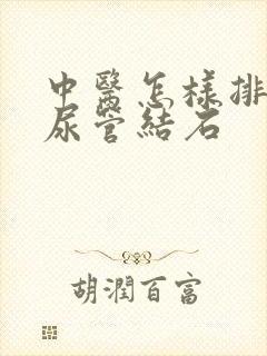 中医怎样排石输尿管结石