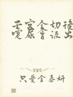 子宫全切后打喷嚏尿会流出怎么办